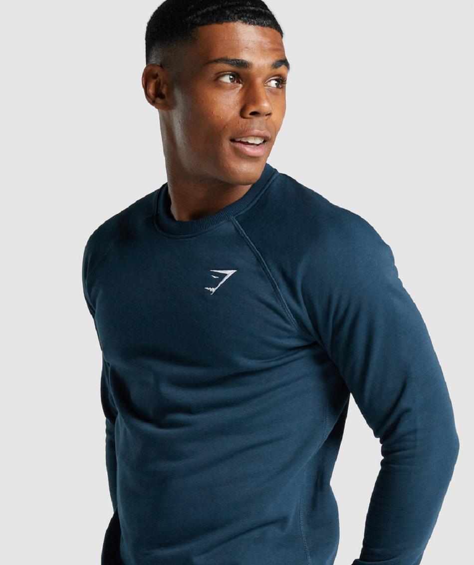 Accessories Męskie Gymshark Crest Sweatshirt Granatowe | PL 3528DFM